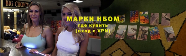 крисы Баксан