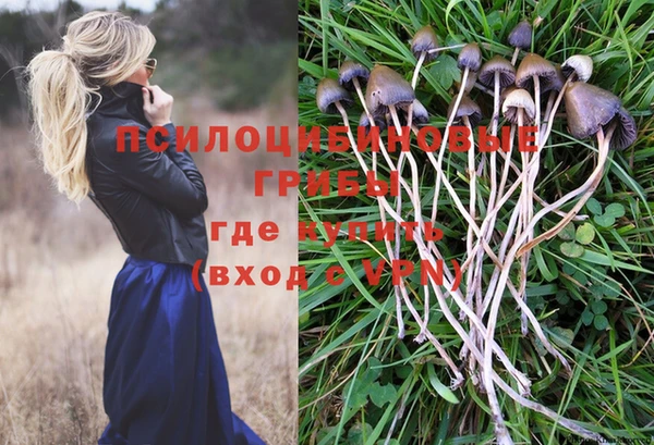 apvp Балабаново
