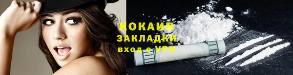 крисы Баксан