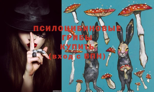 винт Балахна