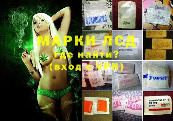 крисы Баксан