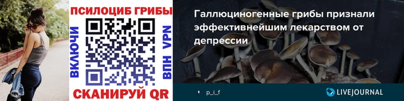 наркошоп  Николаевск  Псилоцибиновые грибы мухоморы 