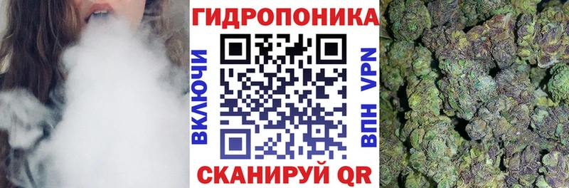 Бошки Шишки Ganja  Николаевск 